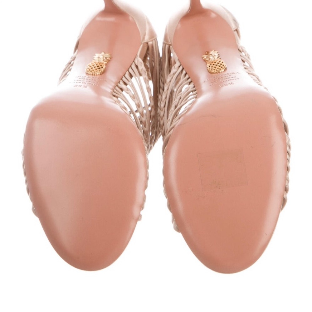 Altuzarra blush heels